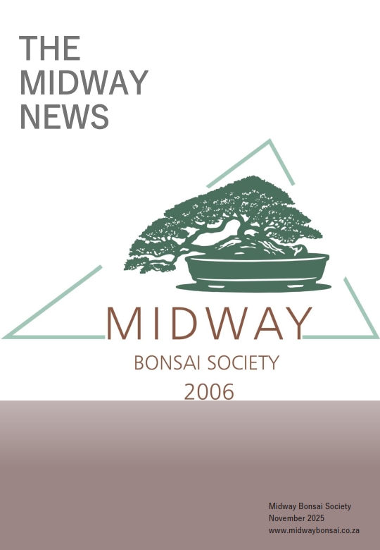 BonsaiNewsletterNov2025