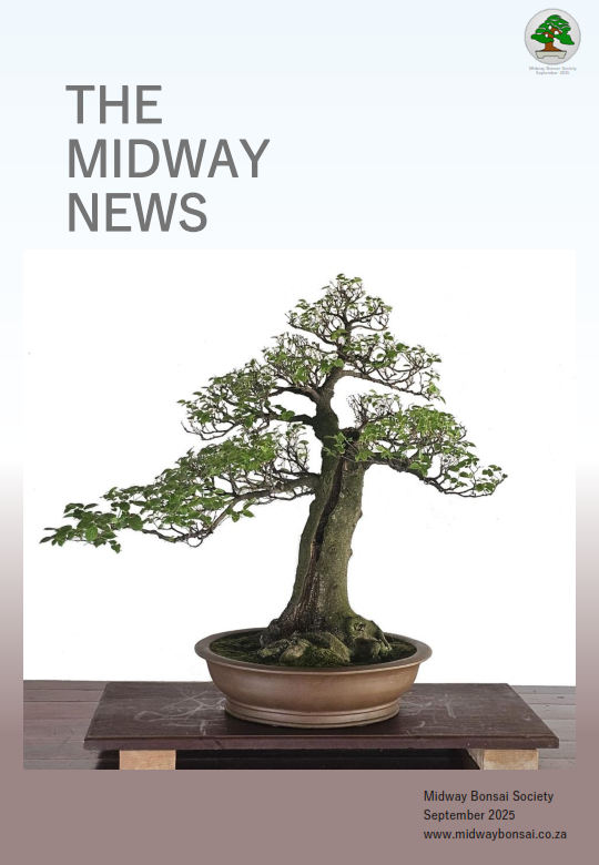 BonsaiNewsletterSep2025
