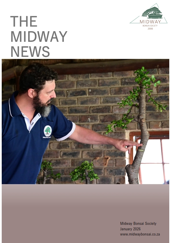 BonsaiNewsletterJan26